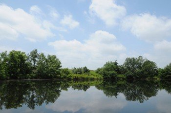 Property photo 41 - 1,025 Acres in 24 Tracts - Exellent Recreation Opportunity - Potential Building Sites - 11 Lakes & Ponds